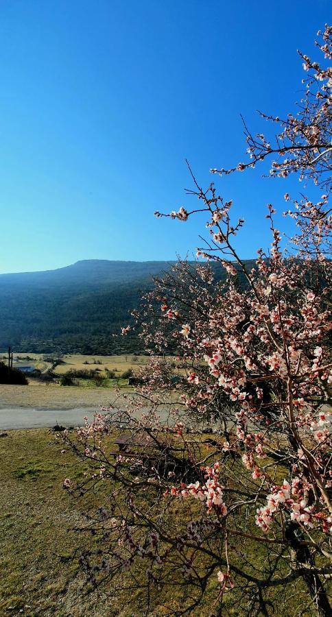 La Palud-sur-Verdon Auberge Collective Cozy&Family מראה חיצוני תמונה